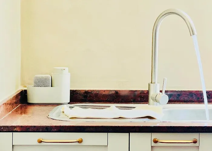 Canaryislandshost L Bruma *